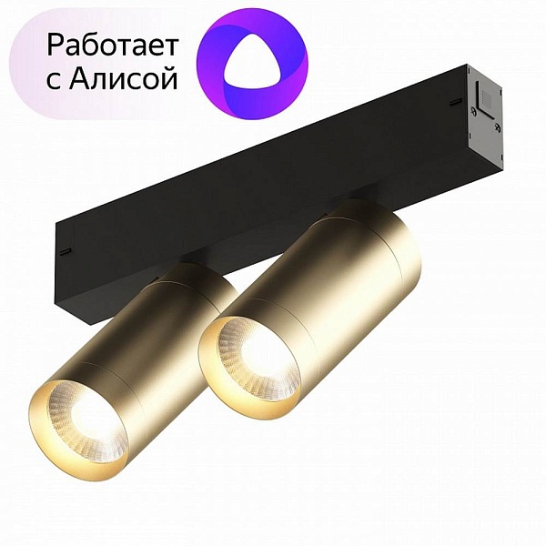 Трековый светильник DENKIRS SMART DK8012-BG