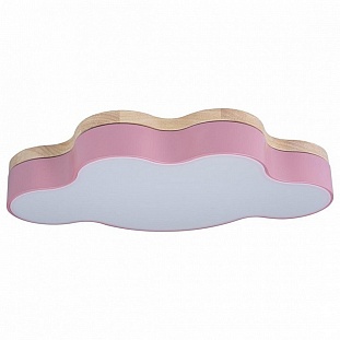 Светильник потолочный LOFT IT AXEL 4 10005/30 Pink