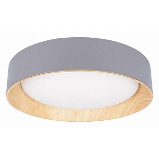 Светильник потолочный LOFT IT COIN 10202 Grey