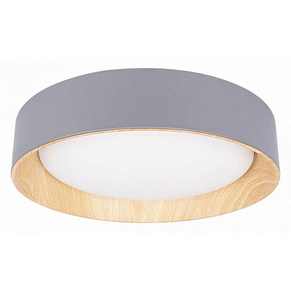 Светильник потолочный LOFT IT COIN 10202 Grey