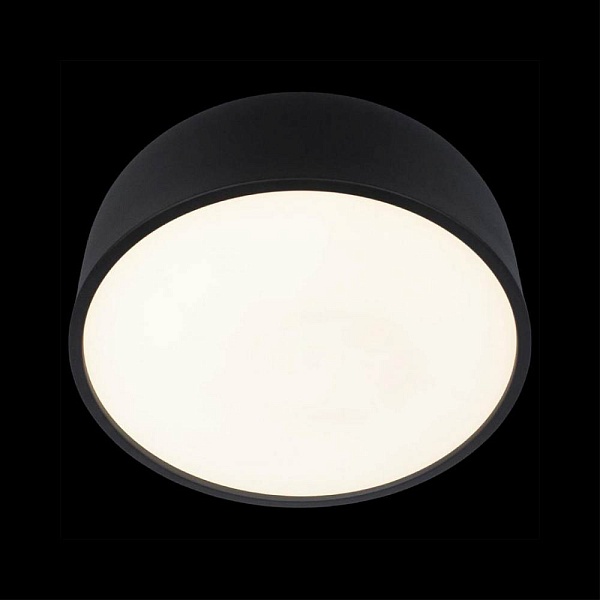 Светильник потолочный LOFT IT AXEL 10201/350 Black