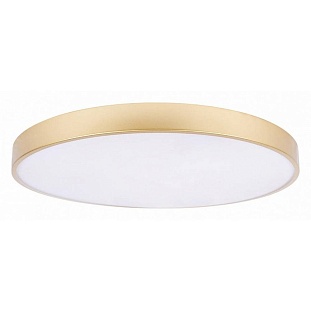 Светильник потолочный LOFT IT FLIMS 10228/B