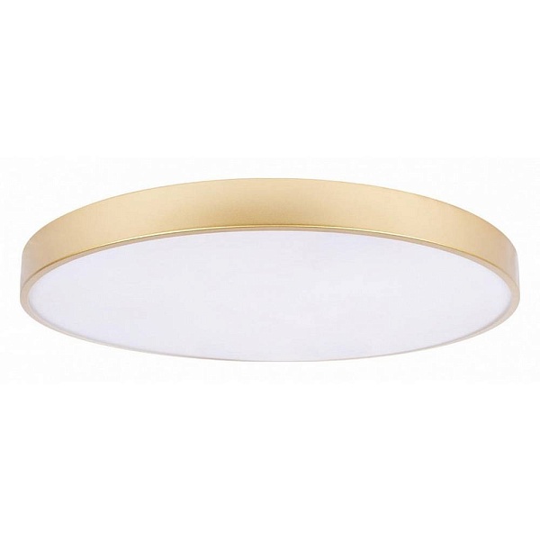Светильник потолочный LOFT IT FLIMS 10228/B