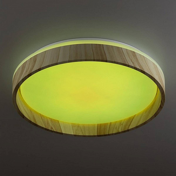 Светильник потолочный CITILUX ENZO CL753352G