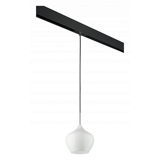 Трековый светильник LIGHTSTAR PENTOLA PRO803040