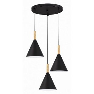 Подвес EVOLUCE ARKET SLE1255-423-03