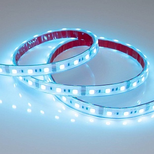 Лента LED RTW-PS-B60 14,4 W/m 12V IP67 5060/60 K 12mm (5м) 021402(2) ARLIGHT