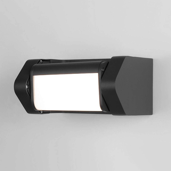 Светильник уличный настенный ELEKTROSTANDARD DORS 35163/D a062882