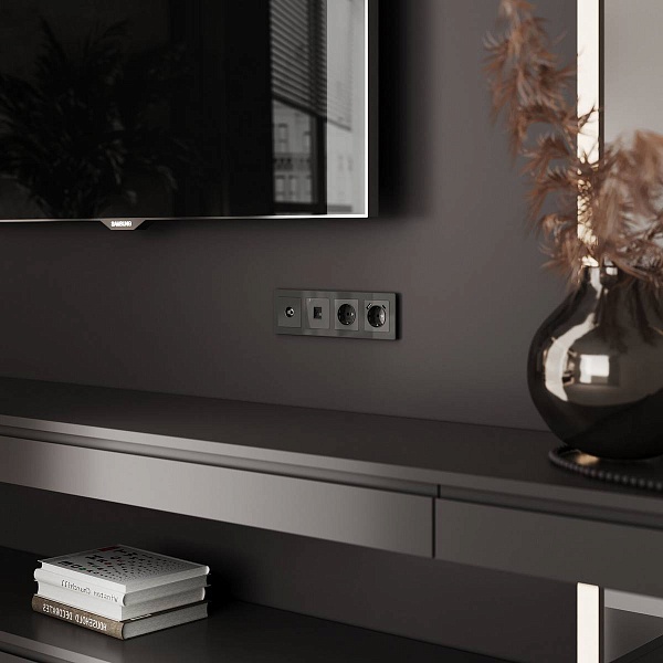 Розетка  TV одиночная, графит , W1183044, WERKEL