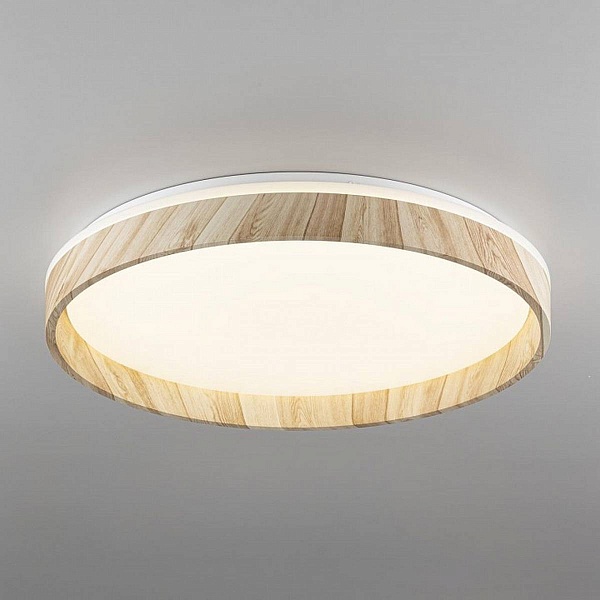Светильник потолочный CITILUX ENZO CL753452G