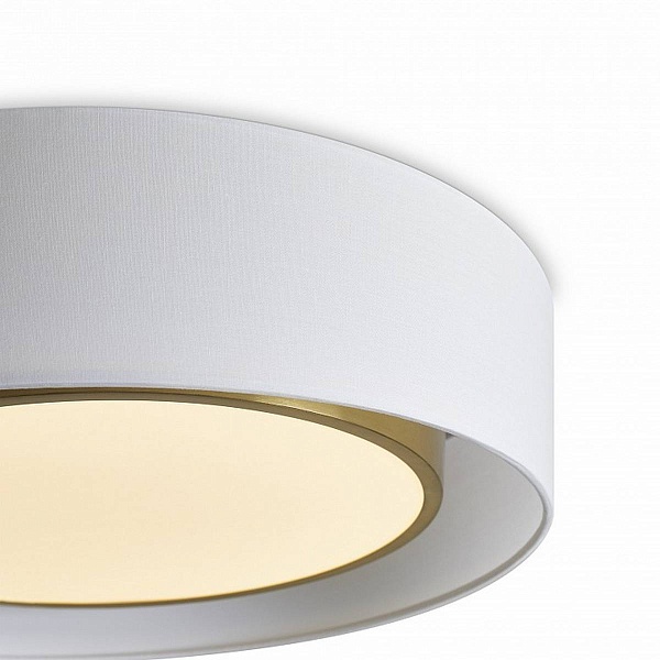 Светильник потолочный FREYA COZY FR6170CL-L52BS