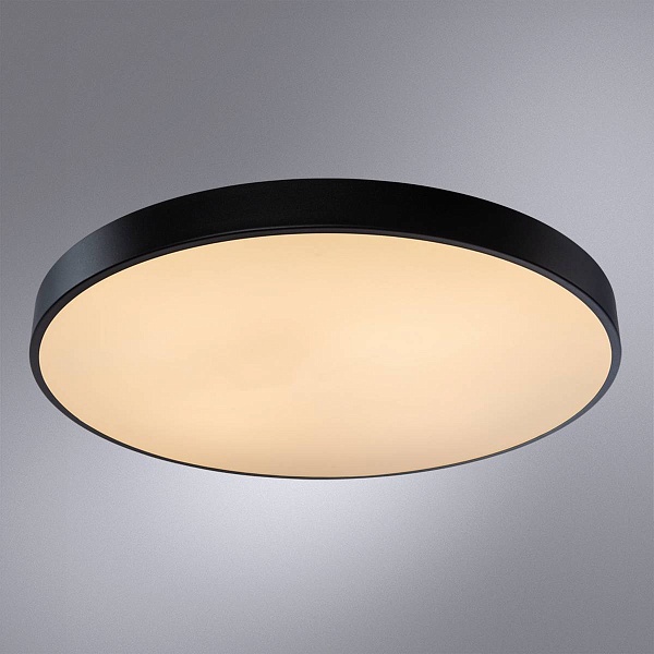 Светильник потолочный ARTE LAMP ARENA A2673PL-1BK