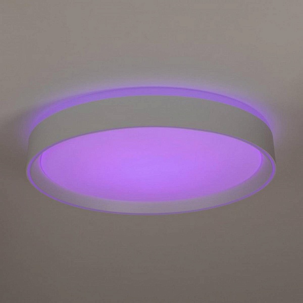 Светильник потолочный CITILUX BOSS CL751350G