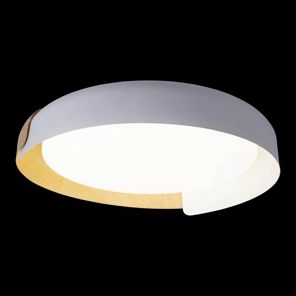 Светильник потолочный LOFT IT COIN 10198 White