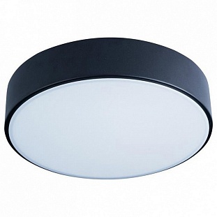 Светильник потолочный LOFT IT AXEL 1 10002/12 Black