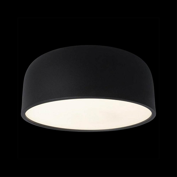 Светильник потолочный LOFT IT AXEL 10201/350 Black