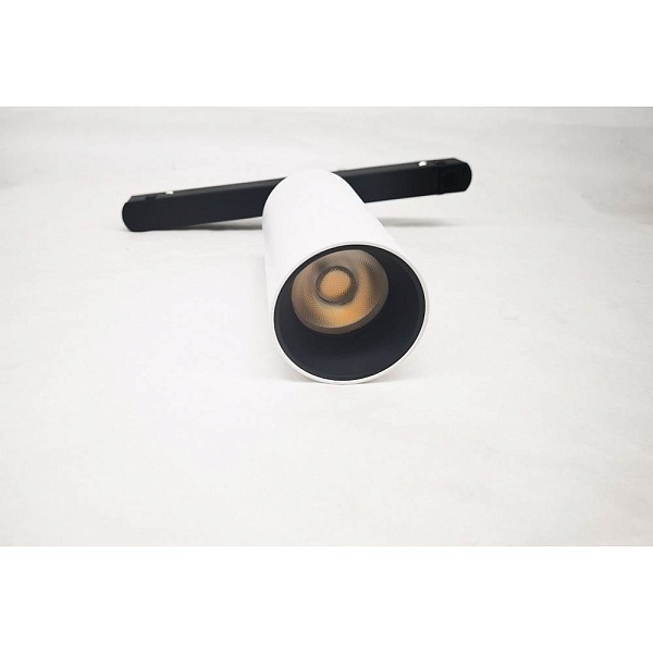 Трековый светильник MAYTONI FOCUS LED TR032-2-12W3K-S-W
