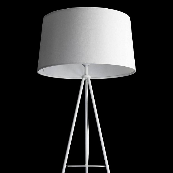 Торшер CITILUX РЕЙНЕР CL806020