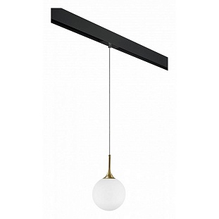 Трековый светильник LIGHTSTAR GLOBO PRO813022