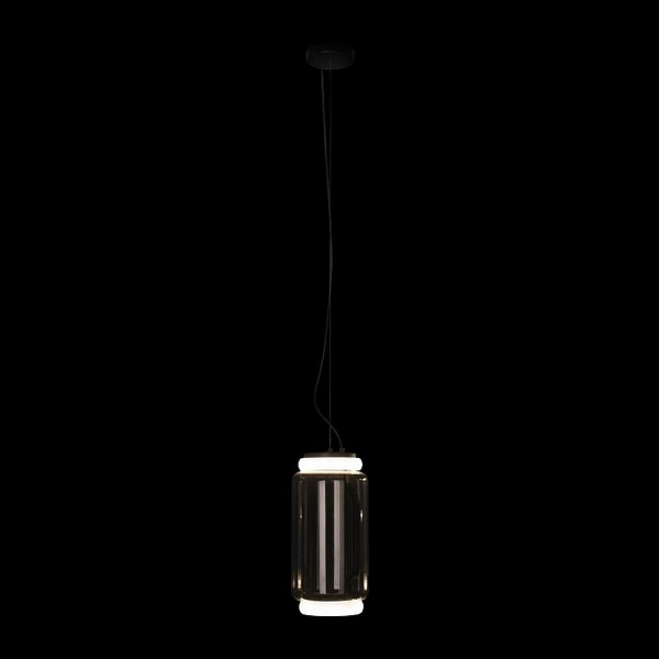 Подвес LOFT IT NOCTAMBULE 10194/S