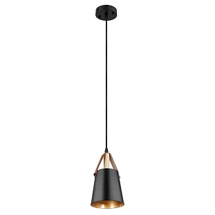 Подвес ARTE LAMP THOMAS A7032SP-1BK