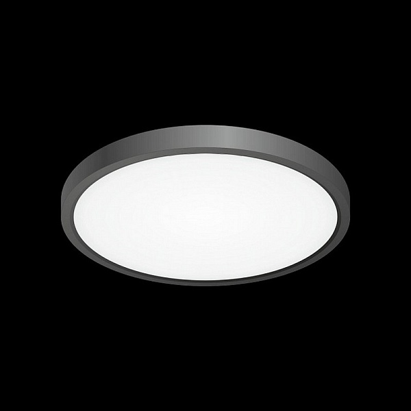 Светильник потолочный CITILUX БЕЙСИК CL738241V