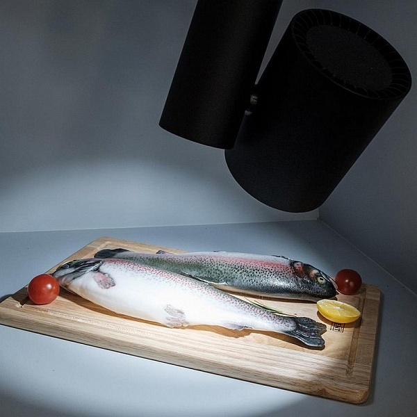 Трековый светильник ARLIGHT LGD-SHOP-4TR-R100-40W COOL SP7500-FISH (BK, 24 DEG) 026291