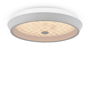 Светильник потолочный FREYA LED FR10012CL-L24W