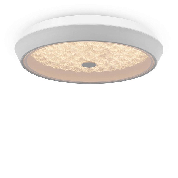 Светильник потолочный FREYA LED FR10012CL-L24W