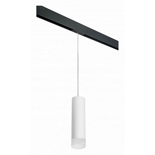 Трековый светильник LIGHTSTAR RULLO PRORP649681
