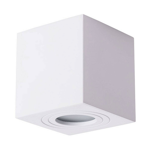 Светильник уличный потолочный ARTE LAMP GALOPIN A1461PL-1WH