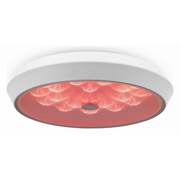Светильник потолочный FREYA LED FR10012CL-L24W