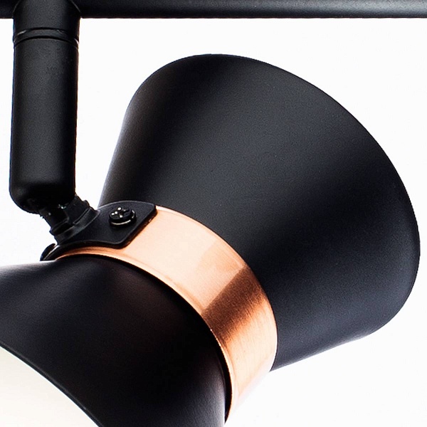 Спот ARTE LAMP Baltimore A1406AP-2BK