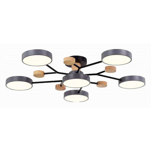 Люстра потолочная EVOLUCE FAEMA SLE6006-702-06