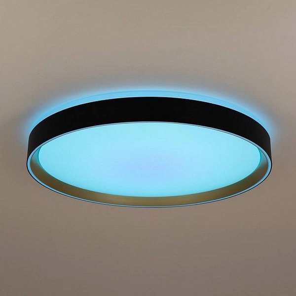 Светильник потолочный CITILUX BOSS CL751451G
