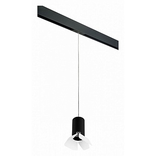 Трековый светильник LIGHTSTAR RULLO PRORP437436