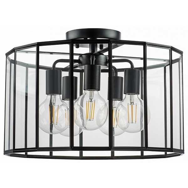 Люстра потолочная LIGHTSTAR GENNI 798257