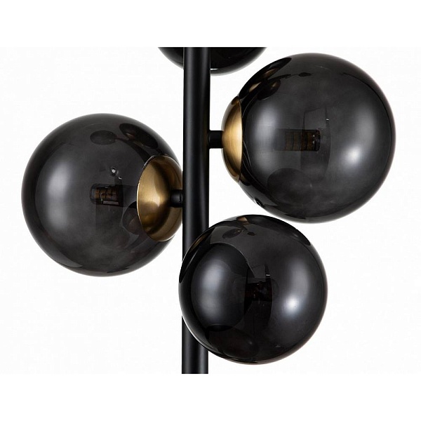 Люстра подвесная INDIGO MOLECOLA 11018/6P Black