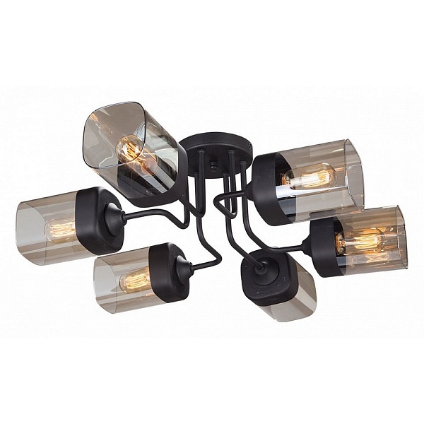 Люстра потолочная VITALUCE 4888 V4888-1/6PL