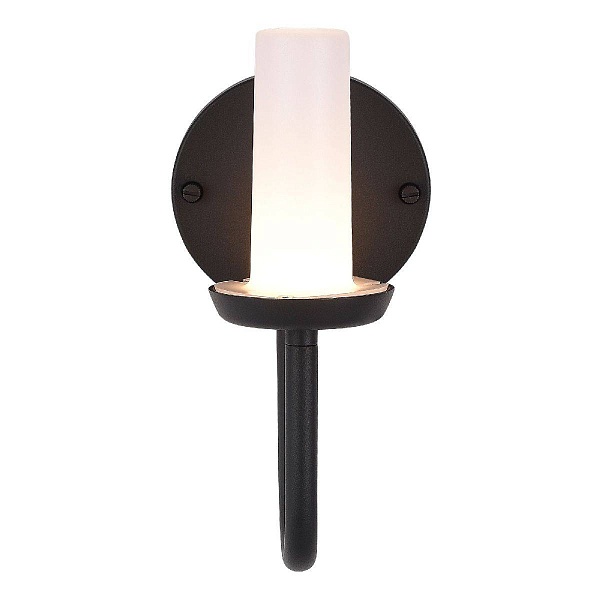 Светильник уличный настенный ST LUCE CANDLE SL9539.701.01