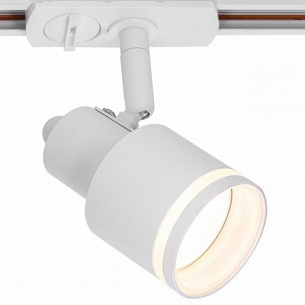 Трековый светильник CITILUX BRUNO CL565T10