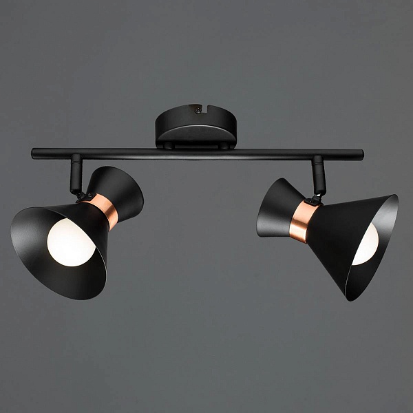 Спот ARTE LAMP Baltimore A1406AP-2BK
