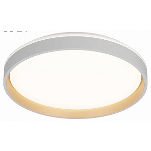 Светильник потолочный CITILUX ENZO CL753450G