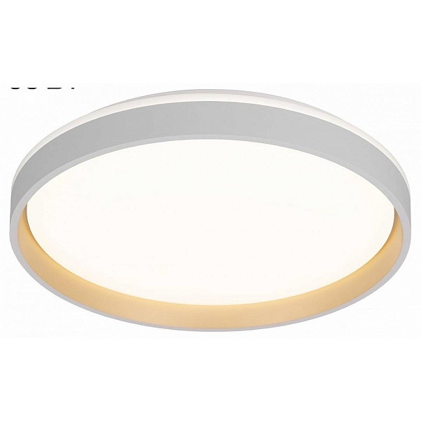 Светильник потолочный CITILUX ENZO CL753450G