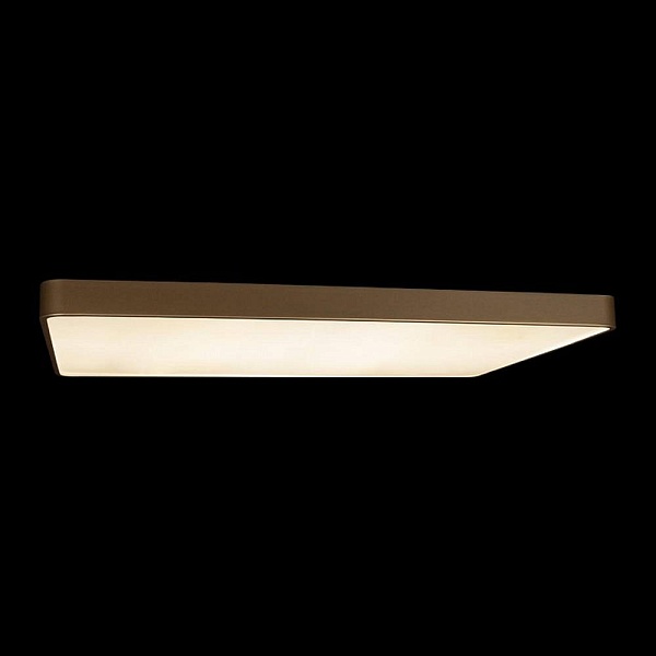 Светильник потолочный LOFT IT FLIMS 10228/E