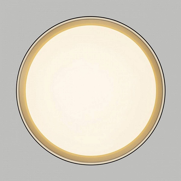Светильник потолочный CITILUX BOSS CL751351G