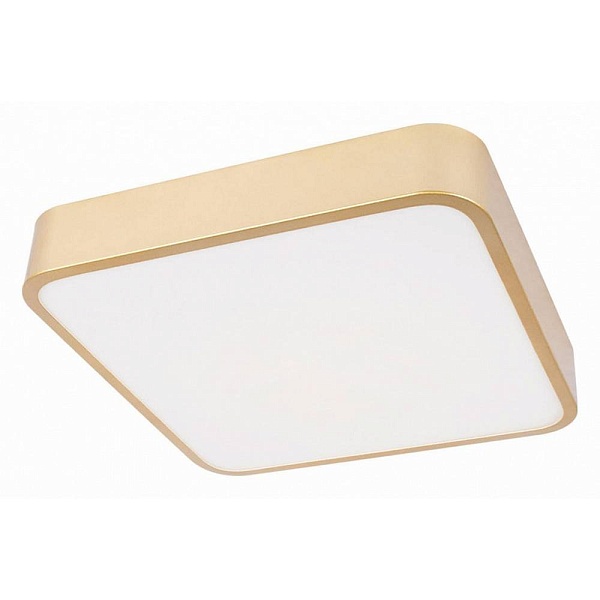 Светильник потолочный LOFT IT FLIMS 10228/C