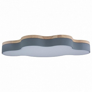 Светильник потолочный LOFT IT AXEL 4 10005/36 Grey