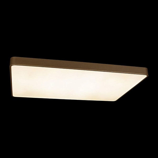 Светильник потолочный LOFT IT FLIMS 10228/E