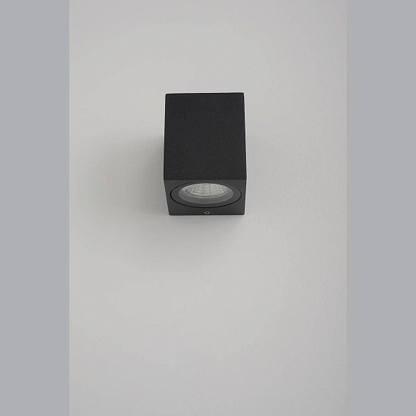 Светильник уличный настенный CRYSTAL LUX CLT 528W1 BL